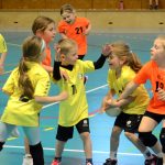 Házenkáři z celého kraje si dali dostaveníčko v Milevsku