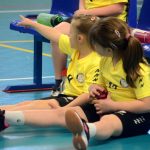 Házenkáři z celého kraje si dali dostaveníčko v Milevsku