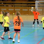 Házenkáři z celého kraje si dali dostaveníčko v Milevsku