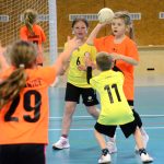 Házenkáři z celého kraje si dali dostaveníčko v Milevsku