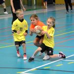 Házenkáři z celého kraje si dali dostaveníčko v Milevsku