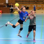 Házenkáři z celého kraje si dali dostaveníčko v Milevsku