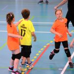 Házenkáři z celého kraje si dali dostaveníčko v Milevsku