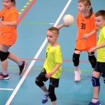 Házenkáři z celého kraje si dali dostaveníčko v Milevsku