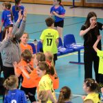 Házenkáři z celého kraje si dali dostaveníčko v Milevsku