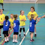 Házenkáři z celého kraje si dali dostaveníčko v Milevsku