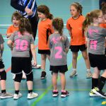 Házenkáři z celého kraje si dali dostaveníčko v Milevsku