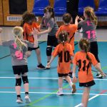 Házenkáři z celého kraje si dali dostaveníčko v Milevsku