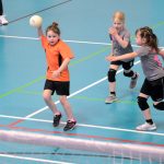 Házenkáři z celého kraje si dali dostaveníčko v Milevsku