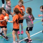 Házenkáři z celého kraje si dali dostaveníčko v Milevsku