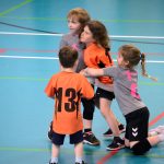 Házenkáři z celého kraje si dali dostaveníčko v Milevsku