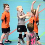 Házenkáři z celého kraje si dali dostaveníčko v Milevsku