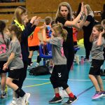 Házenkáři z celého kraje si dali dostaveníčko v Milevsku