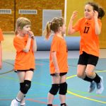 Házenkáři z celého kraje si dali dostaveníčko v Milevsku