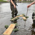 Umělé rybí trdliště na Otavě v Písku podpoří populaci ryb