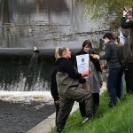 Umělé rybí trdliště na Otavě v Písku podpoří populaci ryb