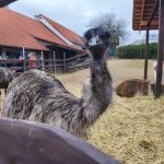 Farmapark v Předoticích o Velikonocích zahájil turistickou sezonu