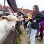 Farmapark v Předoticích o Velikonocích zahájil turistickou sezonu