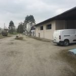 Zloděj zabil v areálu zemědělského družstva v Hněvkovicích prasata. Odvezl je na kolečkách