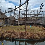 Hledání vajíček i tygří mláďata. Zoo na Českobudějovicku zvou na velikonoční program