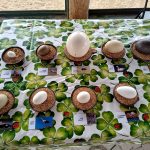 Hledání vajíček i tygří mláďata. Zoo na Českobudějovicku zvou na velikonoční program