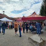 Hledání vajíček i tygří mláďata. Zoo na Českobudějovicku zvou na velikonoční program