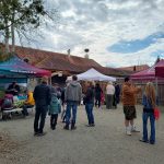 Hledání vajíček i tygří mláďata. Zoo na Českobudějovicku zvou na velikonoční program