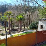 Africká vesnička Wanawake roste. Zoo Dvorec chce návštěvníky přenést do exotiky