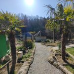 Africká vesnička Wanawake roste. Zoo Dvorec chce návštěvníky přenést do exotiky