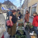 Den Země přinesl do Písku vzdělání a zábavu pro děti i dospělé