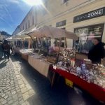 Den Země přinesl do Písku vzdělání a zábavu pro děti i dospělé