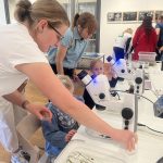 Den Země přinesl do Písku vzdělání a zábavu pro děti i dospělé