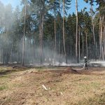 U Dírné na Táborsku hoří les a hrabanka. Na místě je šest cisteren