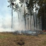 U Dírné na Táborsku hoří les a hrabanka. Na místě je šest cisteren