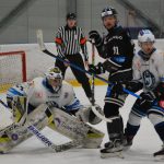 Hokej: Obhájci stříbra vykročí za trofejí. Budějovičtí Black Dogs hostí Brno