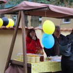 V říši obrů. Nové hřiště v Plané nad Lužnicí otestovaly desítky dětí hned první den