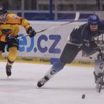 Hokej: Kladno je zase hit. Nevídaný obrat proti Motoru, Jan Neliba už přestával doufat