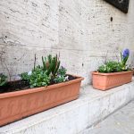 Jarní výzdoba u písecké radnice dlouho nevydržela. Květiny někdo ukradl