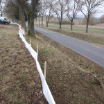 Migrační bariéry nainstalované na Písecku zachytily tisíce obojživelníků