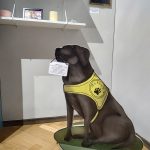 Tma, ticho a nejistota. Nová výstava v Jihočeském muzeu vtáhne návštěvníky do světa lidí s hendikepem