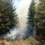 Nedaleko Borkovic na Táborsku hoří les