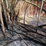 Hasiči zasahují u požáru v areálu bývalých opraven a strojíren v Českých Velenicích