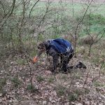 Táborští studenti vyměnili učebnice za pytle na odpad. Uklidili Maredův vrch, Údolní ulice či Babí horu