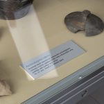 Zahradní slavnost ve Weisově domě ve Veselí otevřela sezonu muzea