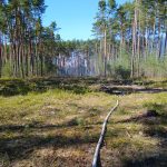 Čtyři jednotky hasičů zasahují u požáru lesa na Jindřichohradecku