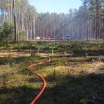 Čtyři jednotky hasičů zasahují u požáru lesa na Jindřichohradecku
