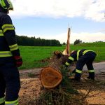 Bezproudí postihlo deset tisíc jihočeských odběratelů. Energetici už odstranili 80 procent poruch na území