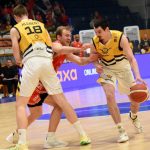VIDEO: Drastická marodka víc než čtvrtfinále Sršňům zřejmě nedovolí