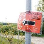 Z Radošovic vyšli milovníci psů na podporu Charity Strakonice