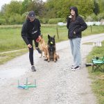Z Radošovic vyšli milovníci psů na podporu Charity Strakonice